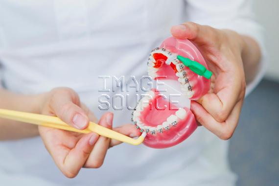 Dentalhygienikerin mit Zahnmodell
